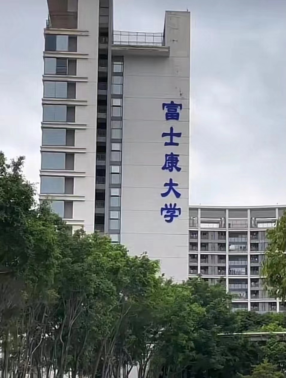 ʿƸ